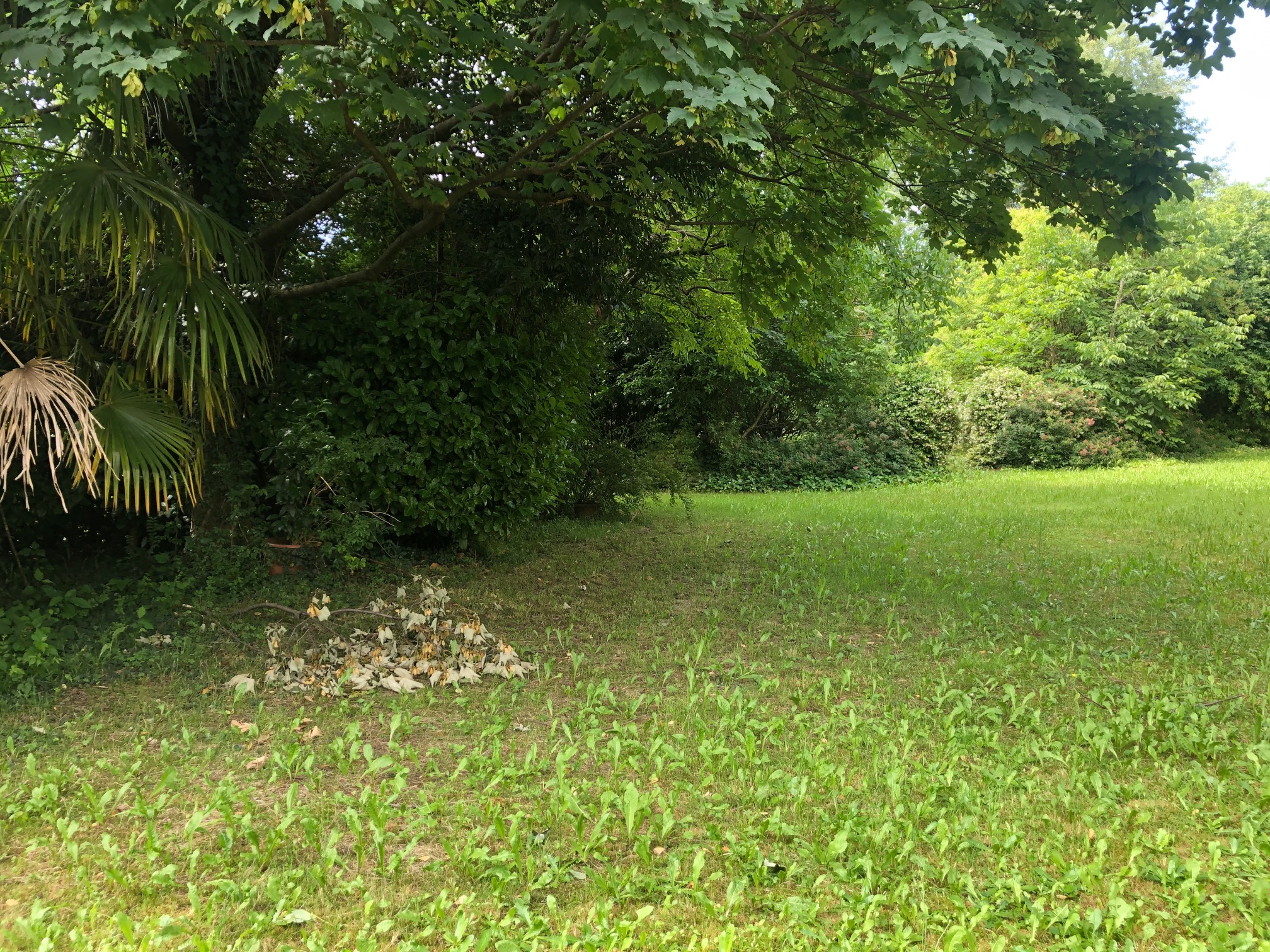 Incantevole Rustico Incantevole Rustico