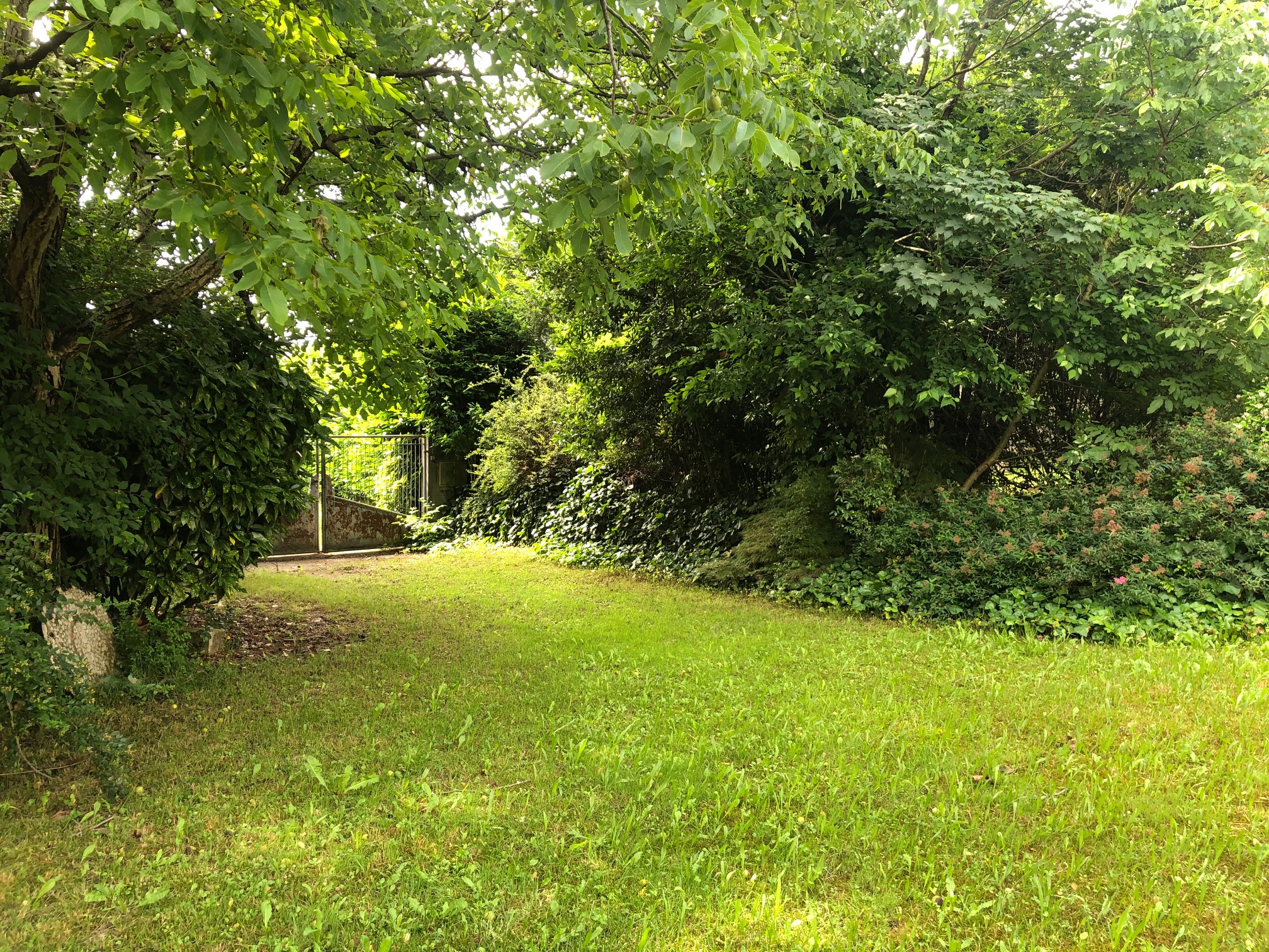 Incantevole Rustico Incantevole Rustico