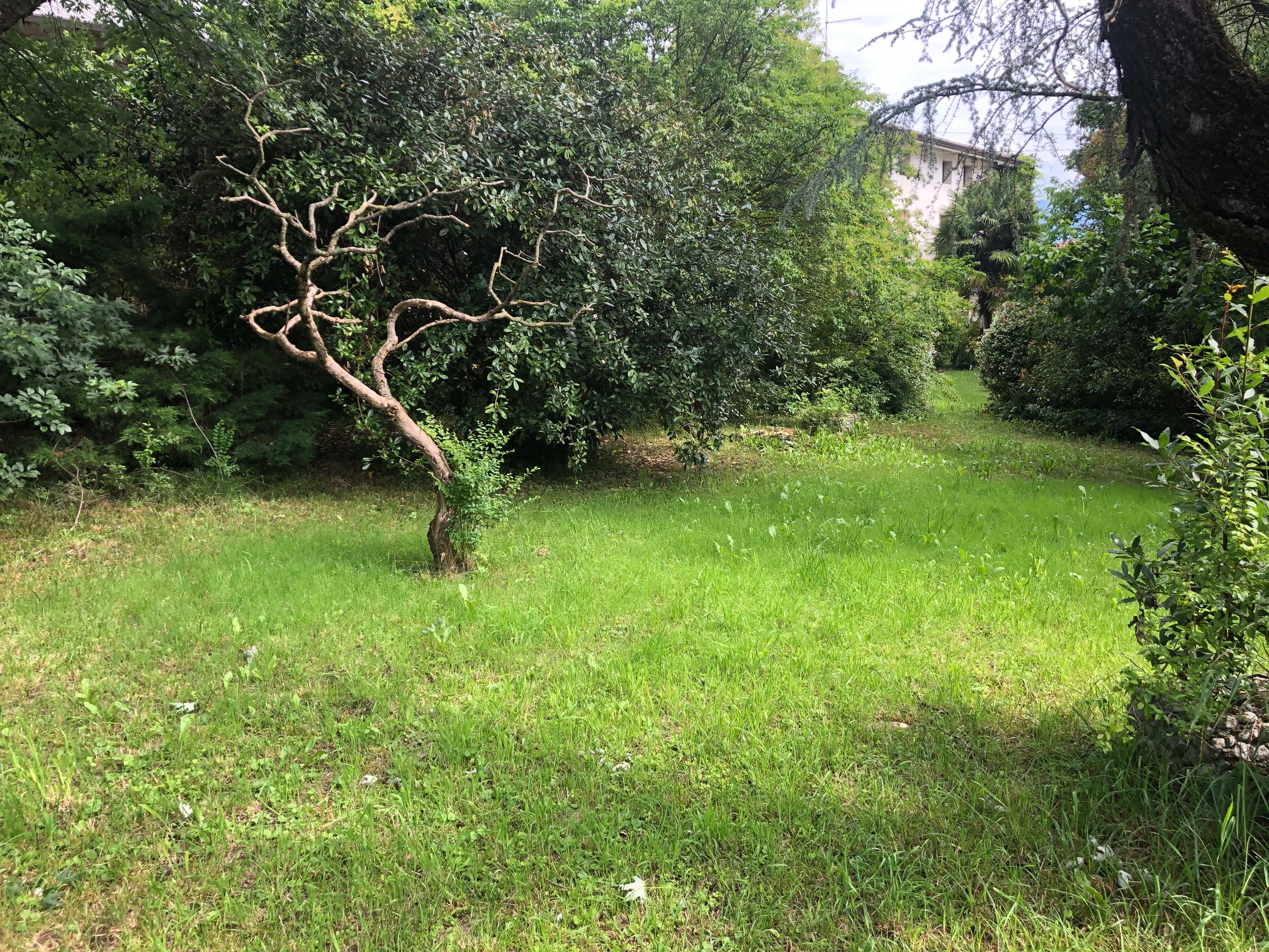 Incantevole Rustico Incantevole Rustico