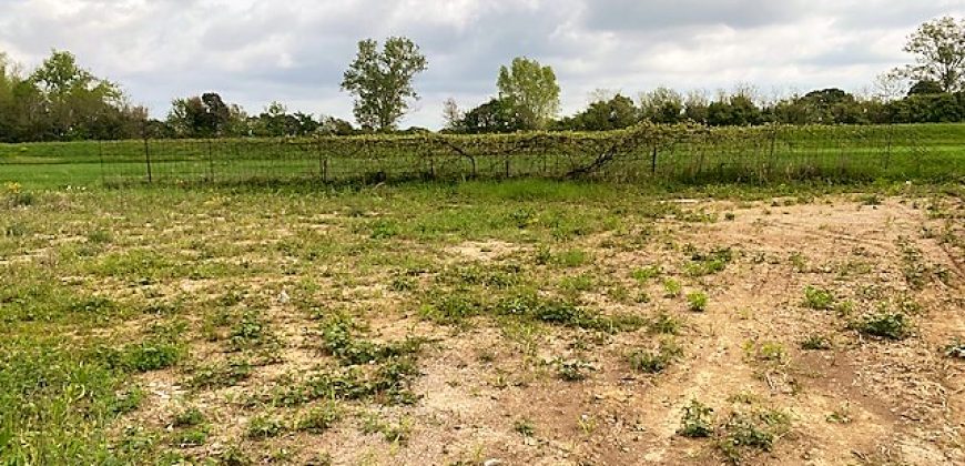 Terreno Urbanizzato