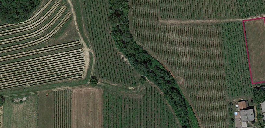 Terreno in Zona Residenziale