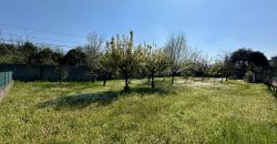 Appartamento Bicamere con Giardino a Villa Primavera