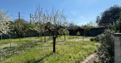 Appartamento Bicamere con Giardino a Villa Primavera