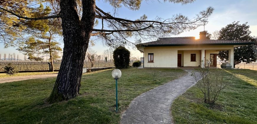 Villetta Indipendente Con Ampio Scoperto
