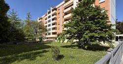 Tricamere Biservizi a Udine Est