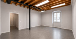 Appartamento Bicamere Ponterosso