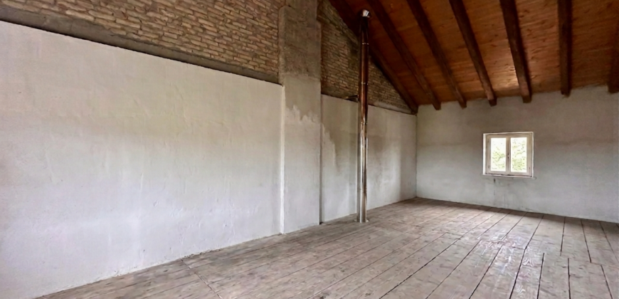 Ampia Casa Storica Con Giardino