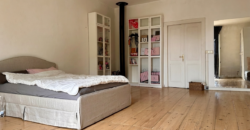 Ampia Casa Storica Con Giardino