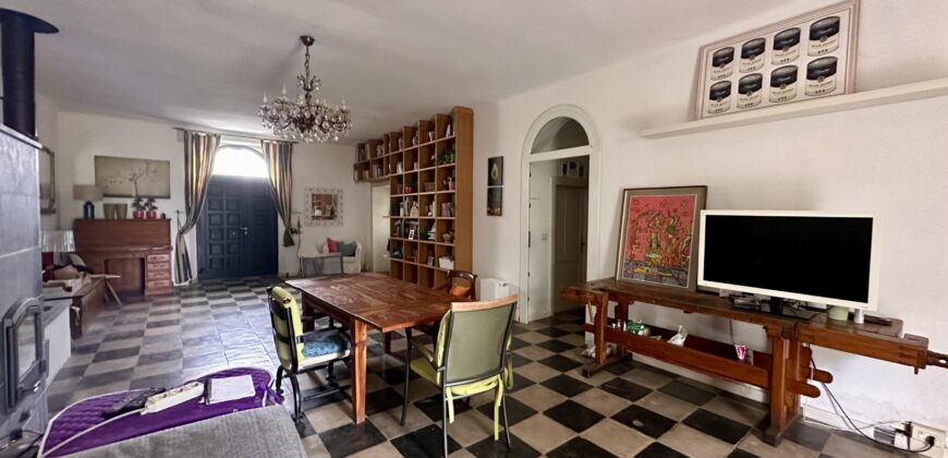 Ampia Casa Storica Con Giardino